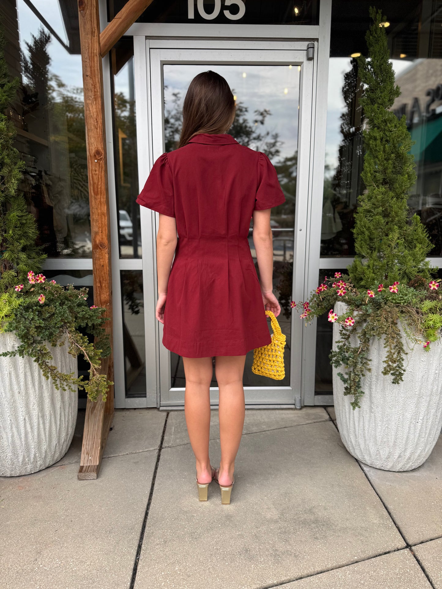 Cinched Collar Dress