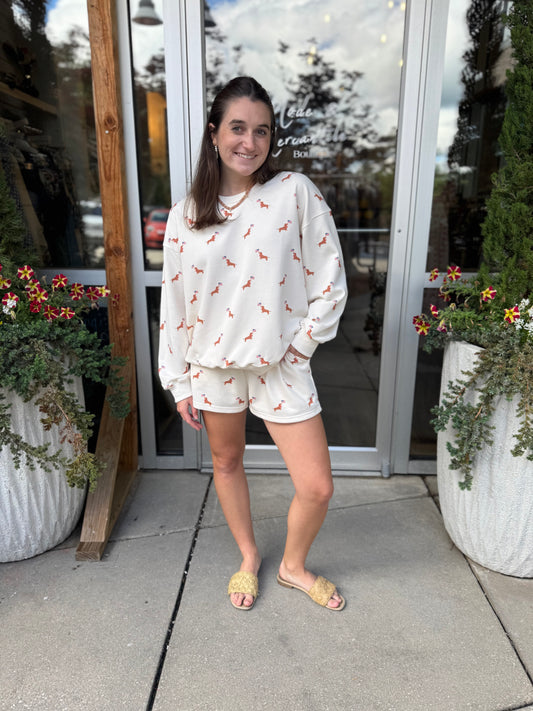 USA Dog Sweatset