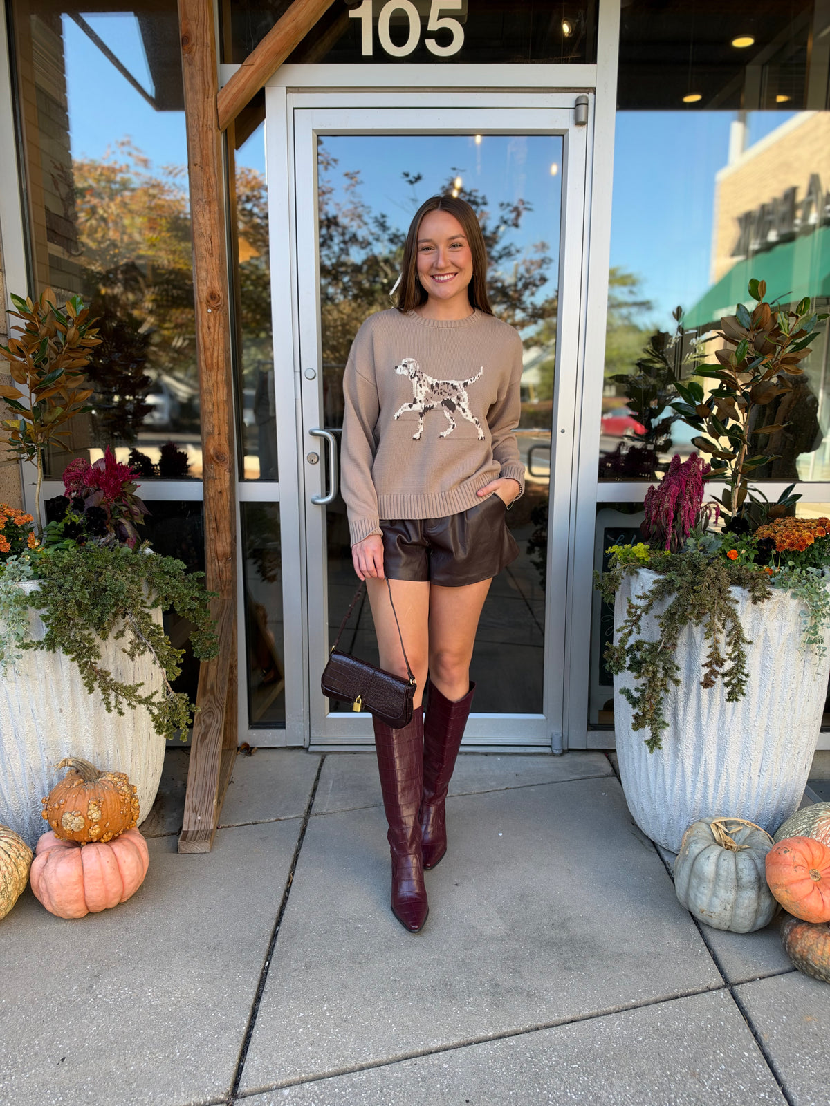 Khaki Embellished Dog Sweater