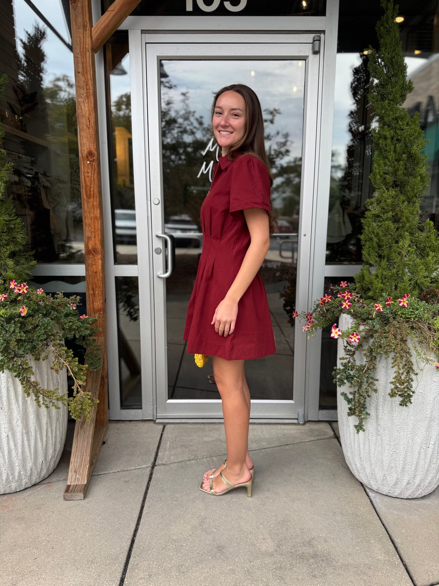 Cinched Collar Dress