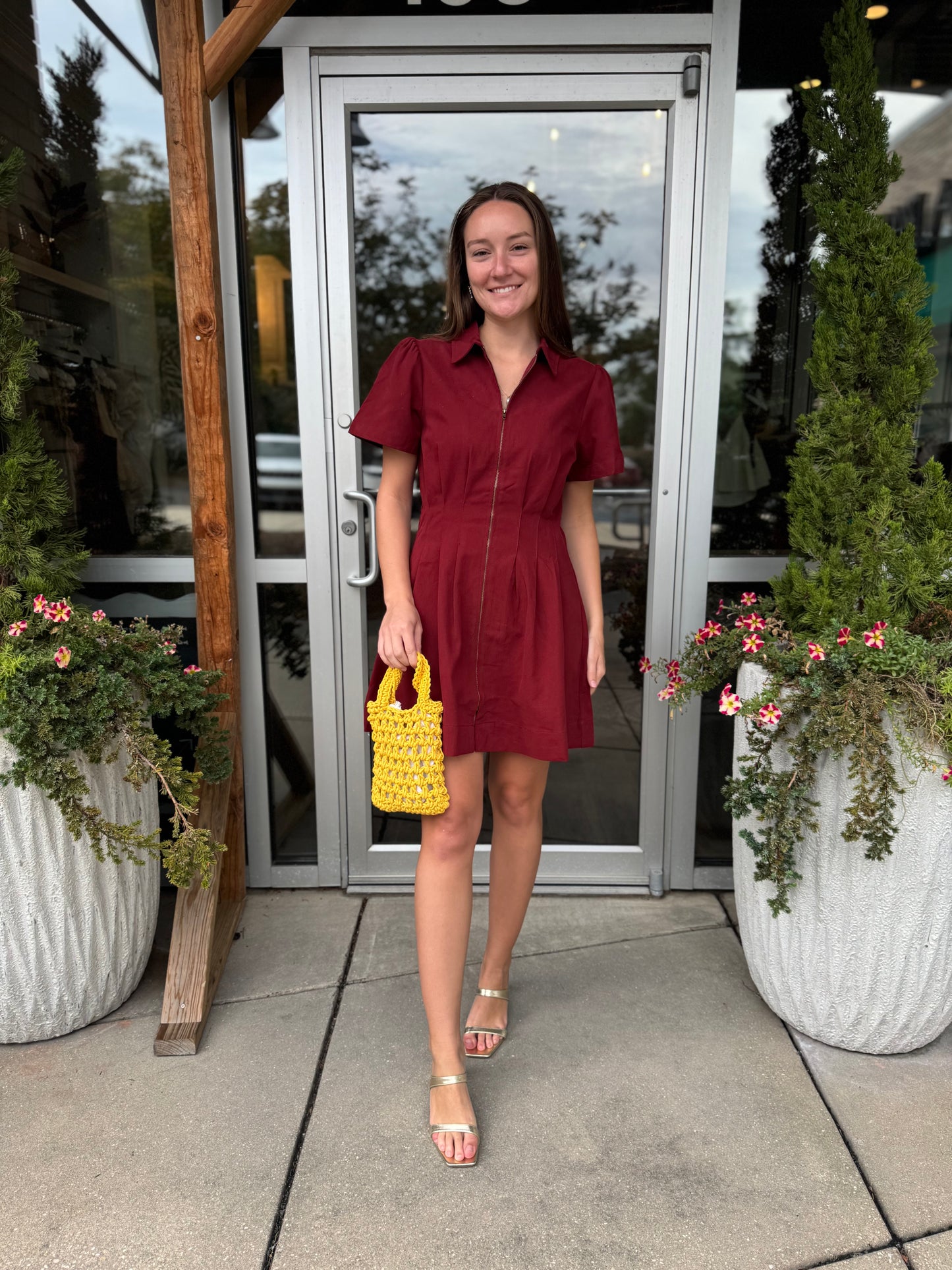Cinched Collar Dress