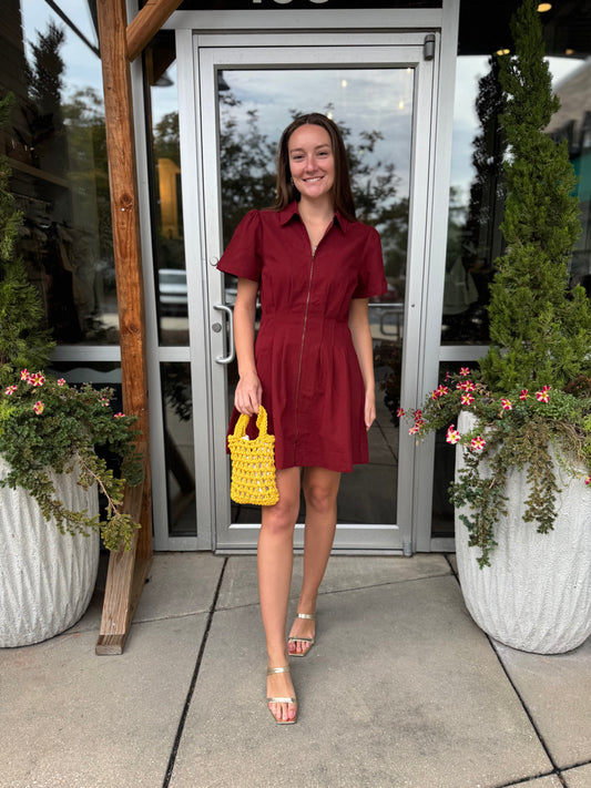 Cinched Collar Dress