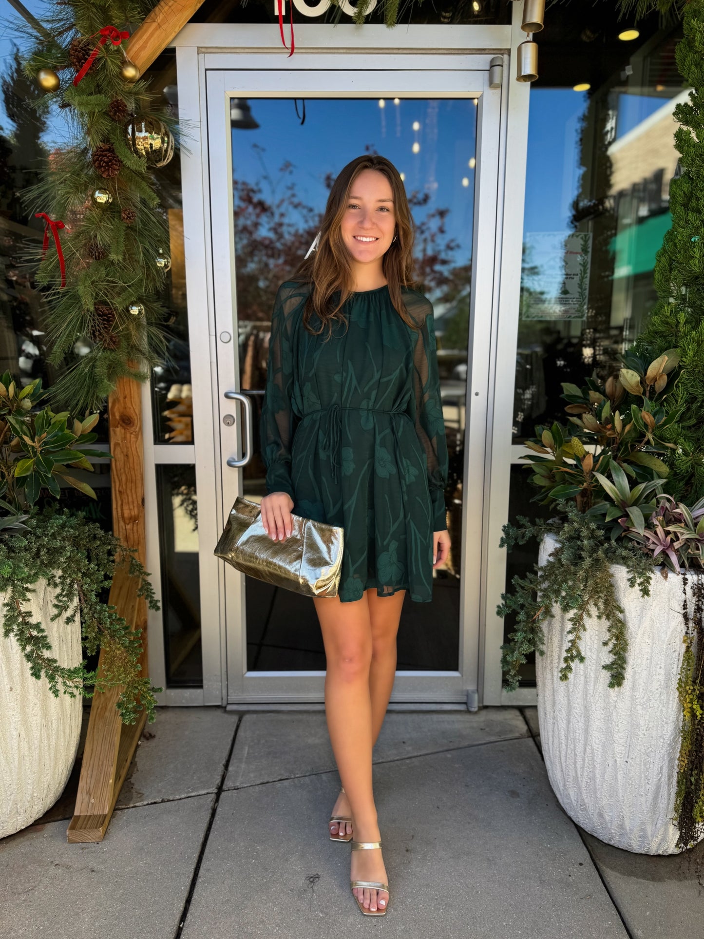 Long Sleeve Sheer Sleeve Dress