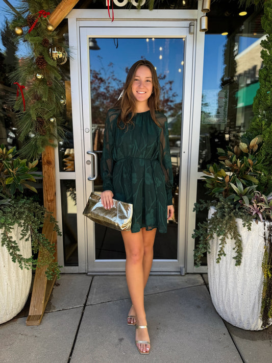 Long Sleeve Sheer Sleeve Dress