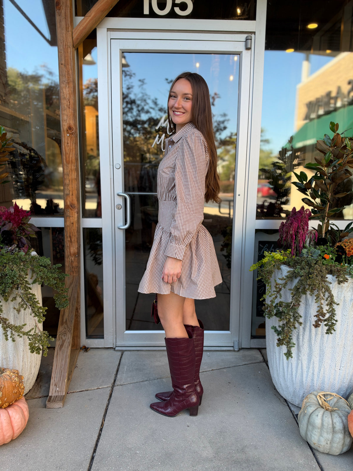 Basque Waist Gingham Shirt Dress