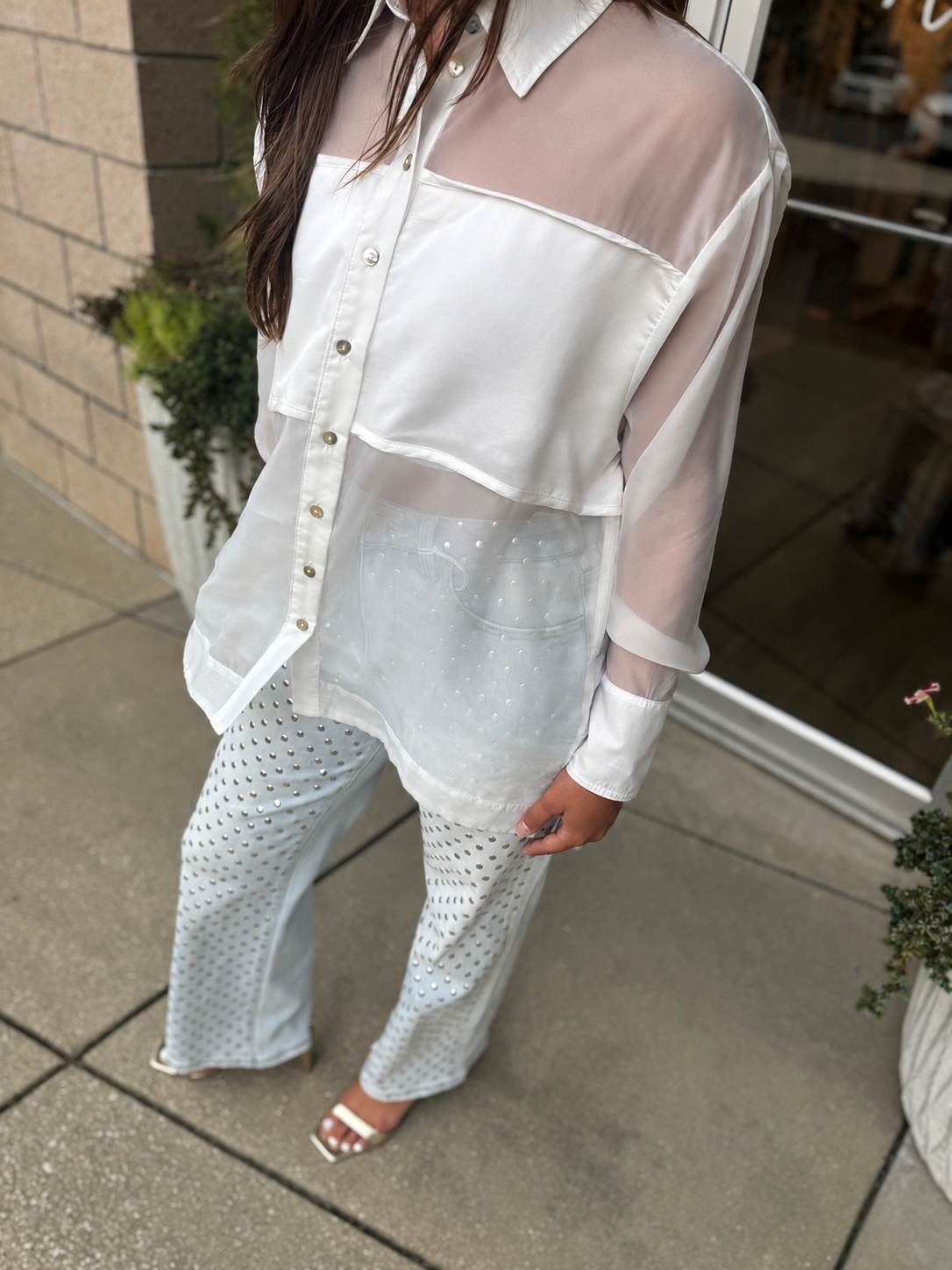 Sheer Collar Blouse