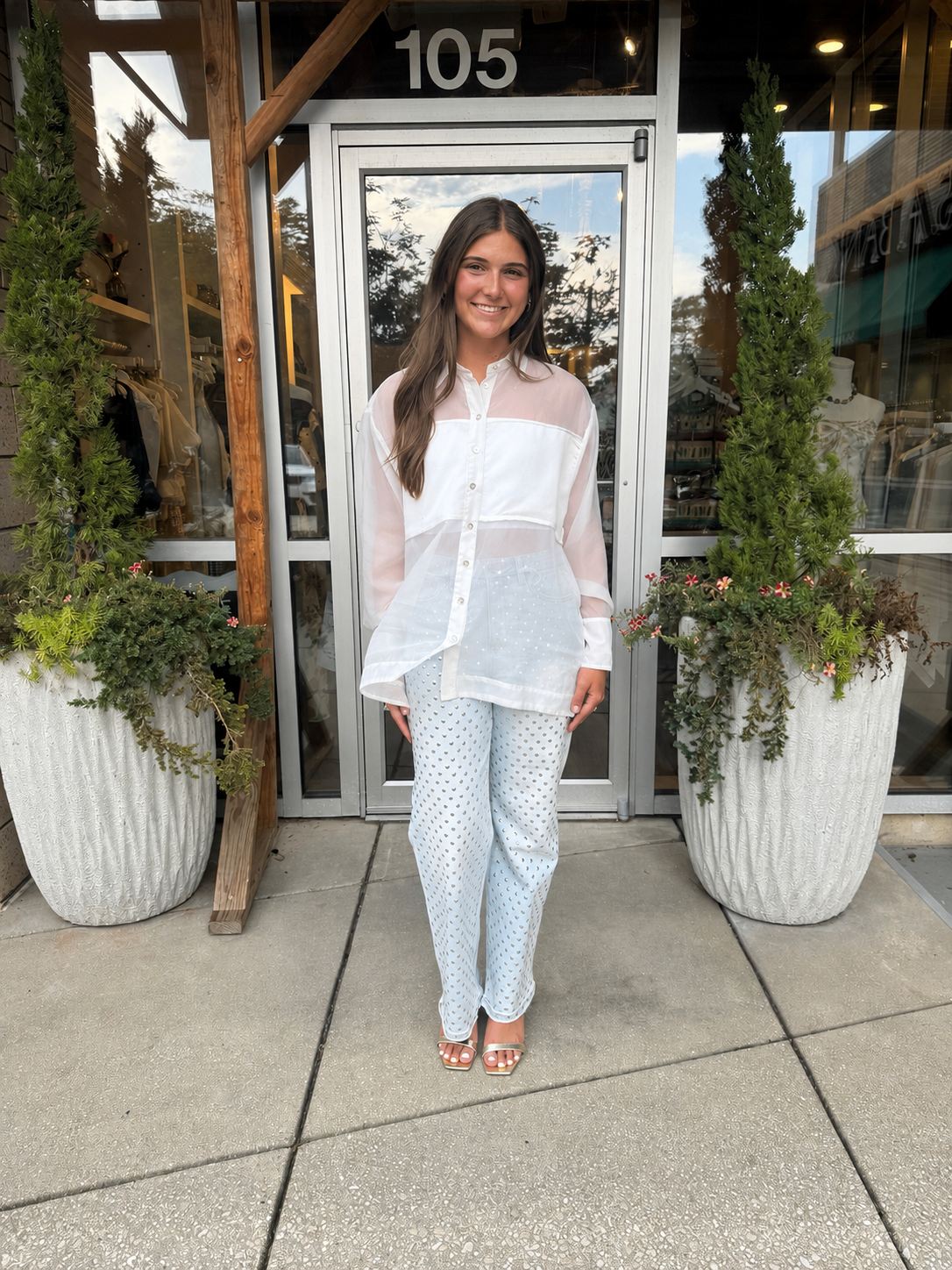 Sheer Collar Blouse