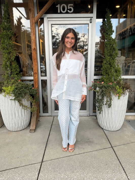 Sheer Collar Blouse