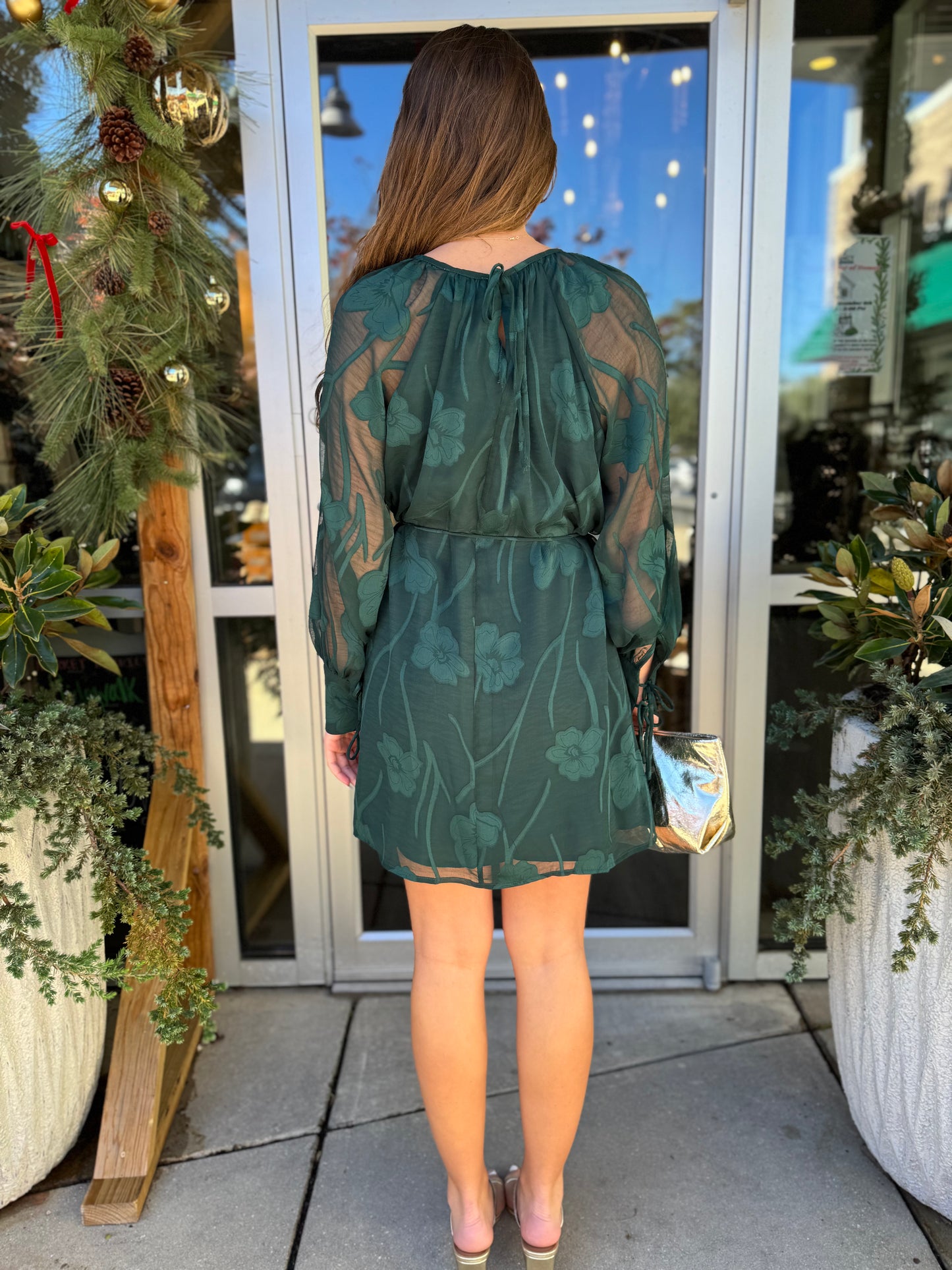 Long Sleeve Sheer Sleeve Dress